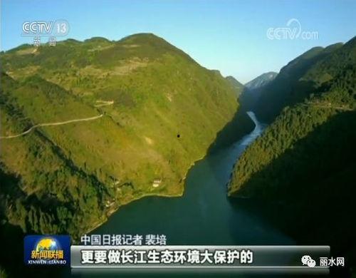 最新丽水白龙山新闻头条,最新进展及影响解读
