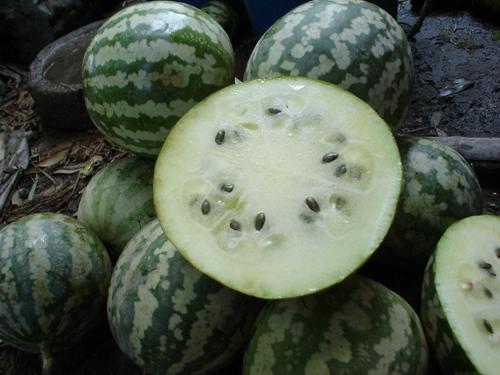 江苏花纹瓜怎么吃,江苏花纹瓜的多样食法探索