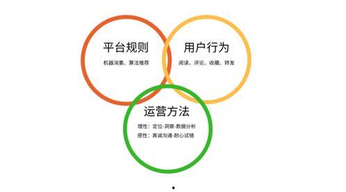 头条号数据优化工具,助你轻松提升内容传播力