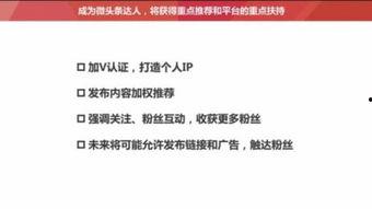 头条情感领域怎么划分,揭秘情感分类与内容生成策略