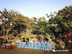 网红室外农场在哪里,探寻城市绿洲的秘密基地