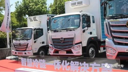 大货车的明星,揭秘那些闪耀的“钢铁巨兽”