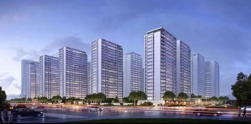 丽水绿城女网红事件,揭秘网络红人背后的争议与真相