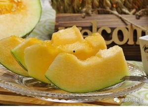 孕妇晚上吃哈密瓜,营养与健康的完美结合