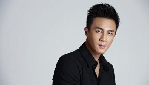 山东帅哥明星,魅力四溢的银幕风采