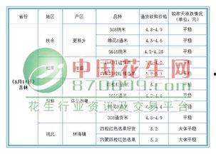 日料店尺寸图怎么看的懂,空间布局与设计概览