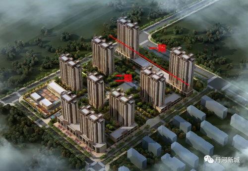 重庆安置房爆料案件最新,揭开背后利益链的真相