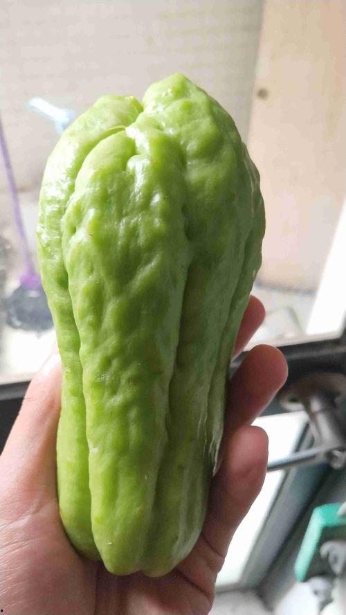 长香玉瓜如何吃,长香玉瓜的多彩食法探索