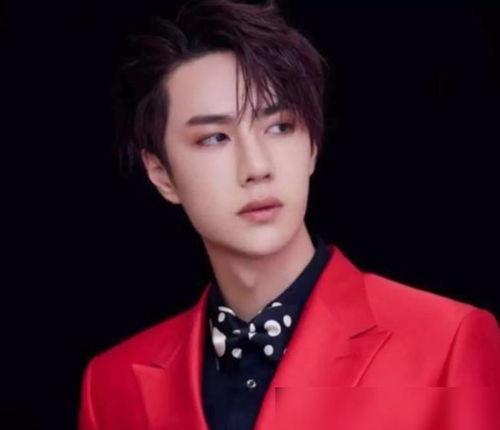 肖战王一博的明星,双星闪耀，演绎青春偶像传奇