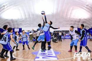 启明星篮球价格,价格解析与市场竞争力全览